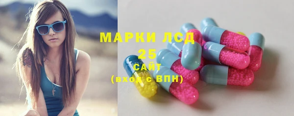 мдпв Инсар